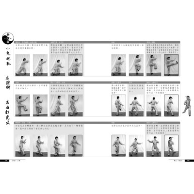 Yang's Style Taiji – Freehand (Intermediate) Shisanshi 88 Routine with DVD